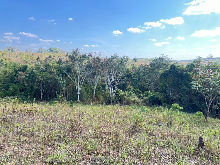 ð āļāļĩāđāļāļīāļāđāļāļ·āđāļāļāļēāļĢāļĨāļāļāļļāļ āļāļģāđāļĨāļāđāļāļāđāļāļĩāđāļĒāļ§ āļāļāļāļāļēāļ āļđāļĄāļī āļĢāļđāļāļāļĩāđ 3