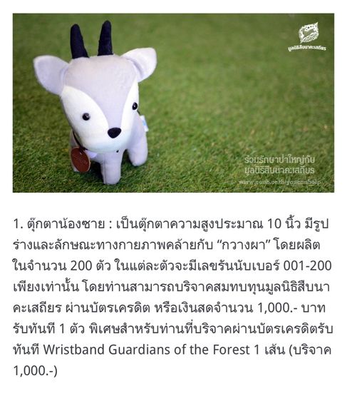 ตุ๊กตามูลนิธิสืบ
