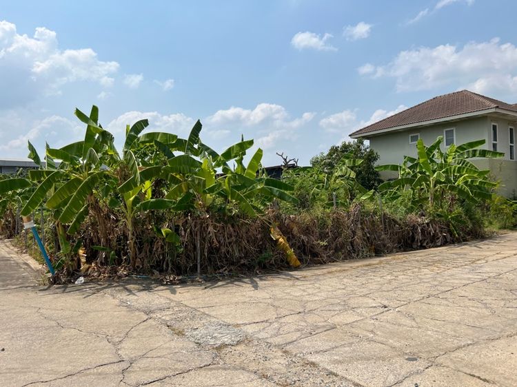 ที่ดินแปลงมุมถมแล้ว 47 ตรว.