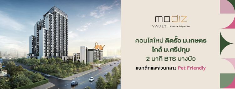 ขาย modiz vault kaset-Sripatum