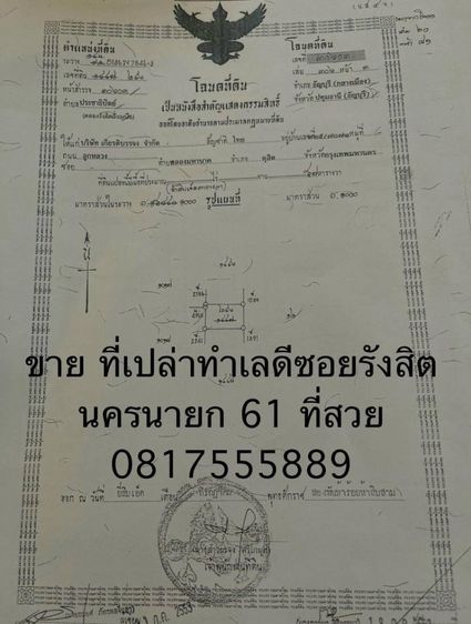 ให้เช่า  ขาย ที่รังสิต นครนายก ซอย 61  เจ้าของให้เช่าขายเอง รูปที่ 3