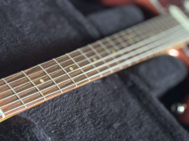 Fender player plus รูปที่ 13