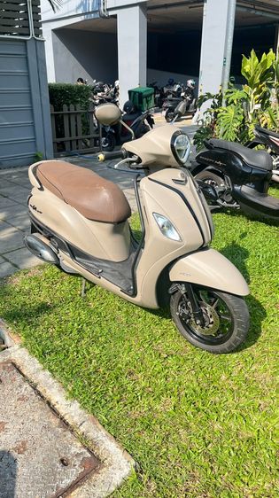 Grand filano 2021 รูปที่ 2