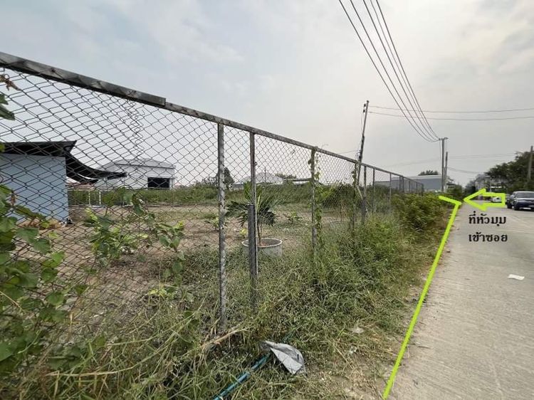 ที่ดินศรีด่าน 22 ถ.ศรีนครินทร์ ถมแล้ว 200 ตร.ว. แปลงหัวมุม ผังส้ม รูปที่ 2