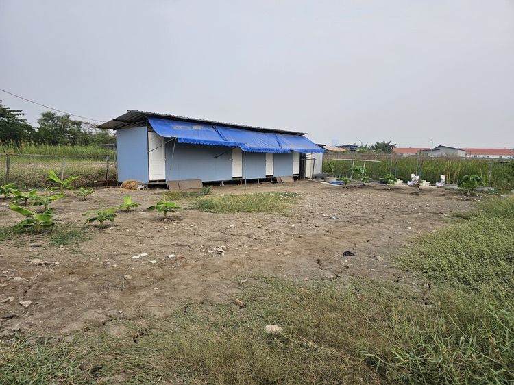 ที่ดินศรีด่าน 22 ถ.ศรีนครินทร์ ถมแล้ว 200 ตร.ว. แปลงหัวมุม ผังส้ม รูปที่ 3