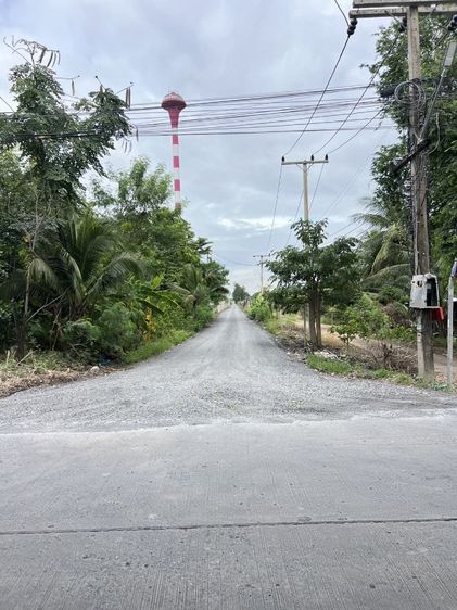 ใช่ ขายที่ดิน คลอง9 ราคาถูก รูปที่ 3