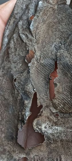 พระกรุใหญ่ 1 องค์ รูปที่ 11