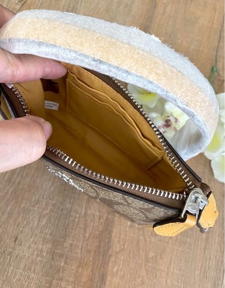 coach รูปที่ 4