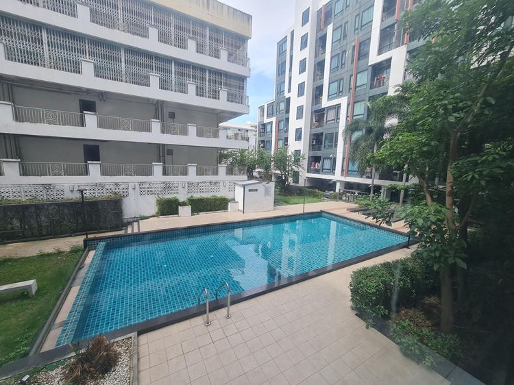 💟 คอนโดมิเนียม โครงการลิปป์ รามคำแหง 43/1 💟 รูปที่ 4