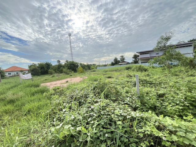 ใช่ 💥ที่ดิน113ตรว.ถมเรียบร้อยหลัง 7-elevenบ้านหนองหลุบ  รูปที่ 4