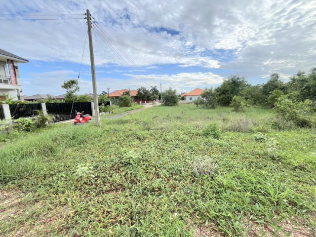 ใช่ 💥ที่ดิน113ตรว.ถมเรียบร้อยหลัง 7-elevenบ้านหนองหลุบ  รูปที่ 2