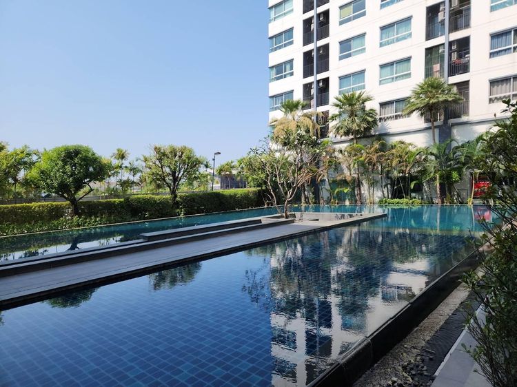 💟 คอนโดมิเนียม โครงการดีคอนโด รัตนาธิเบศร์ 💟 รูปที่ 3