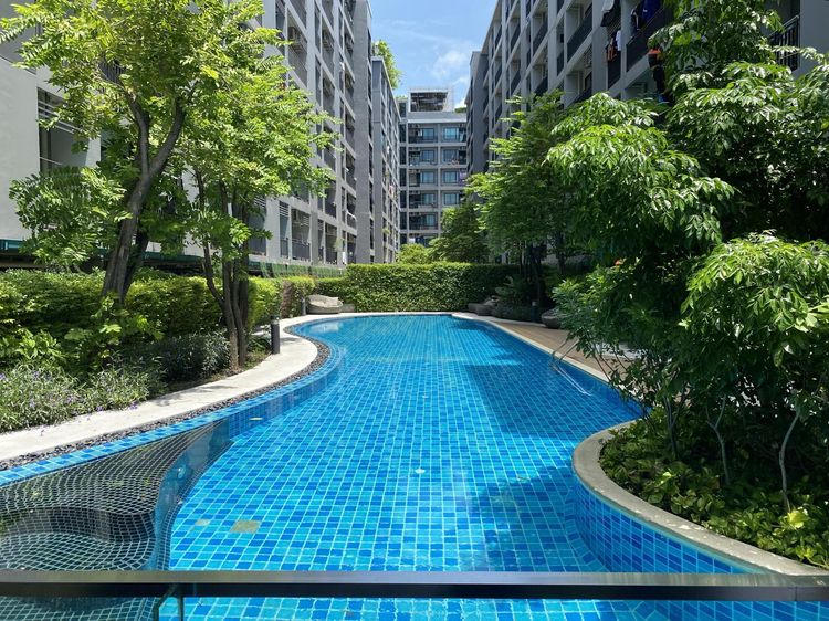 💟 คอนโดมิเนียม โครงการเดอะ คาบาน่า สำโรง 💟 รูปที่ 2