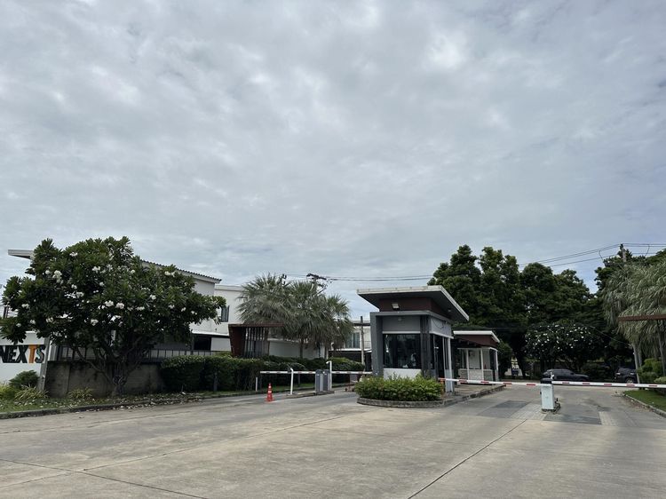 💟 ทาวน์เฮ้าส์ 2 ชั้น โครงการพฤกษา ทาวน์ เน็กซ์ อ่อนนุช-พระราม 9 💟 รูปที่ 3