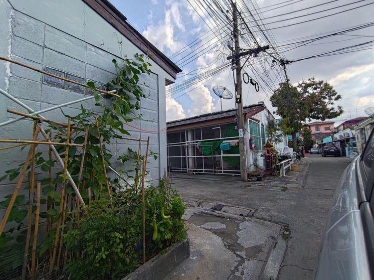 ð āļāļēāļ§āļāđāđāļŪāđāļēāļŠāđ āđāļāļĢāļāļāļēāļĢāđāļāļĒāļŠāļĄāļļāļāļĢ āļāļēāļāđāļāļĢāđāļ ð āļĢāļđāļāļāļĩāđ 3