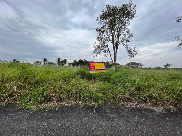 💟 ที่ดินเปล่า โครงการสนามกอลฟ์พัทยาคันทรีคลับ ชลบุรี 💟 รูปที่ 4