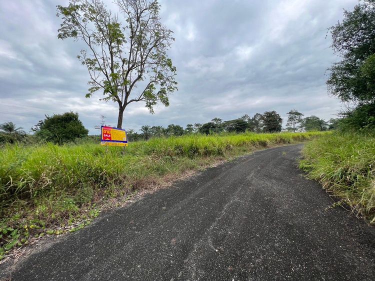 💟 ที่ดินเปล่า โครงการสนามกอลฟ์พัทยาคันทรีคลับ ชลบุรี 💟