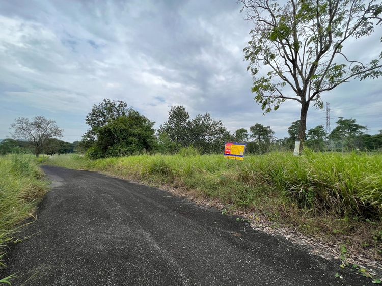 💟 ที่ดินเปล่า โครงการสนามกอลฟ์พัทยาคันทรีคลับ ชลบุรี 💟 รูปที่ 3