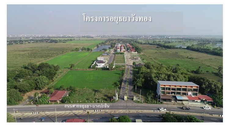💟 ที่ดินเปล่า โครงการอยุธยาวังทอง 💟 รูปที่ 3
