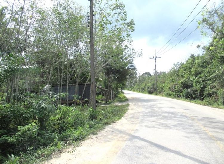 💟 ที่ดินเปล่า ยะลา 💟 รูปที่ 4