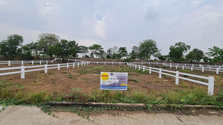 💟 ที่ดินเปล่า โครงการอยุธยาวังทอง 💟 รูปที่ 2