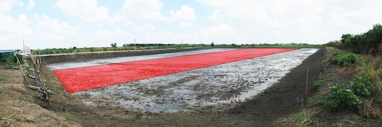 💟 ที่ดินเปล่า โครงการสวนเกษตรปิ่นทองแลนด์ บางเลน 💟 รูปที่ 3