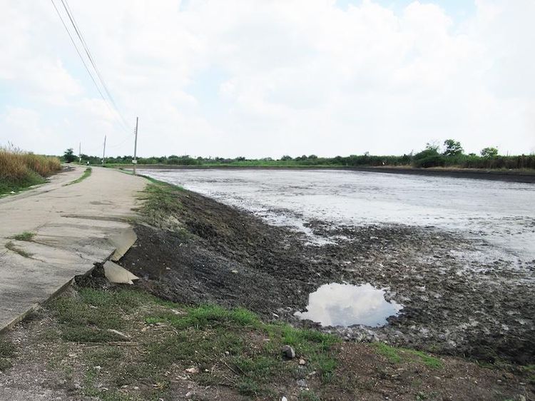 💟 ที่ดินเปล่า โครงการสวนเกษตรปิ่นทองแลนด์ บางเลน 💟 รูปที่ 4