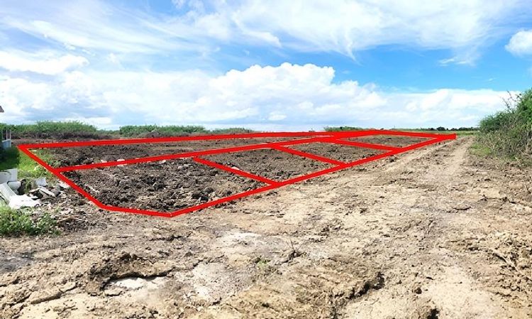 💟 ที่ดินเปล่า โครงการปึกเตียน-หาดเจ้าสำราญ เพชรบุรี 💟 รูปที่ 4