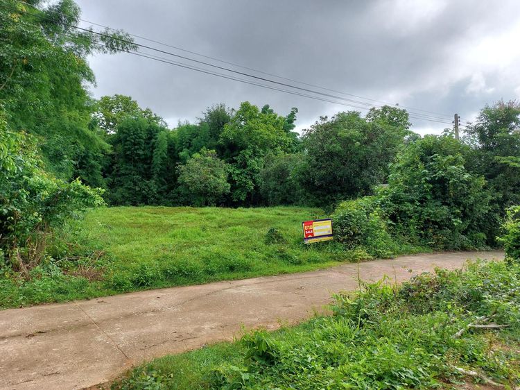 💟 ที่ดินเปล่า ปันใต้หัวทุ่ง ลำปาง 💟