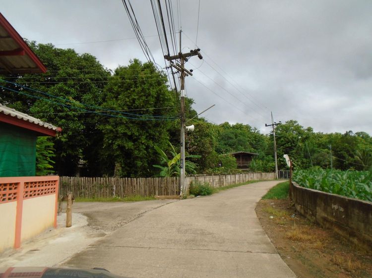 💟 ที่ดินเปล่า ปันใต้หัวทุ่ง ลำปาง 💟 รูปที่ 3