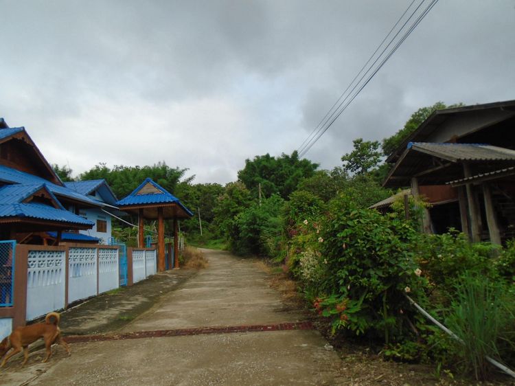 💟 ที่ดินเปล่า ปันใต้หัวทุ่ง ลำปาง 💟 รูปที่ 4