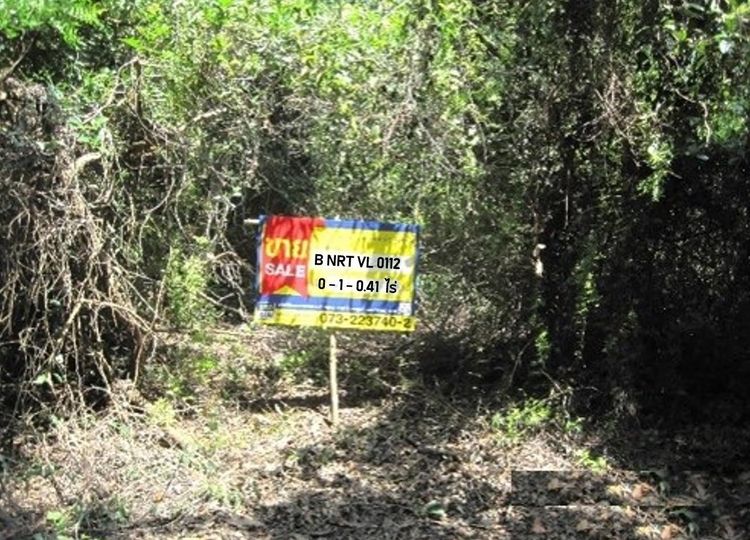 💟 ที่ดินเปล่า นราธิวาส 💟