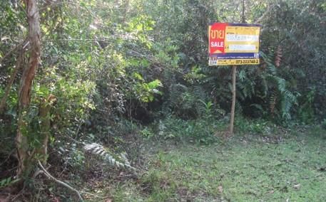 💟 ที่ดินเปล่า นราธิวาส 💟 รูปที่ 4