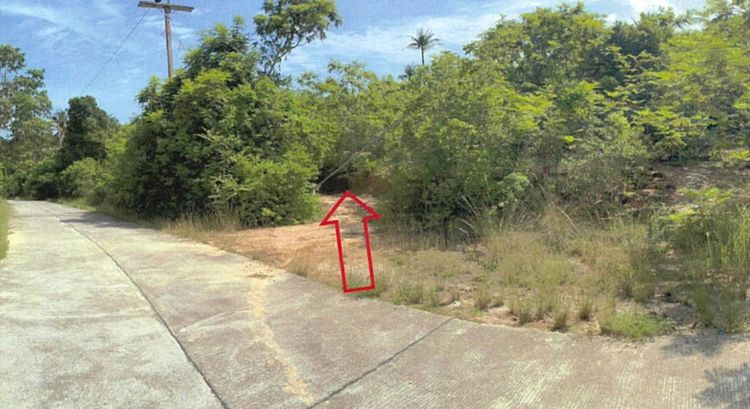 💟 ที่ดินเปล่า เกาะยาวใหญ่ 💟 รูปที่ 4