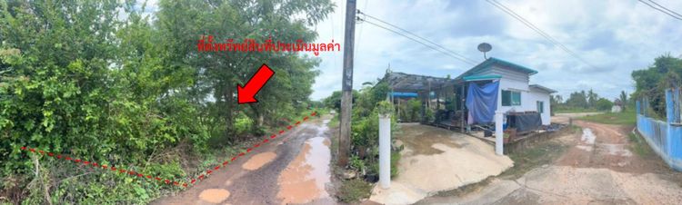 💟 ที่ดินเปล่า พิษณุโลก 💟 รูปที่ 3