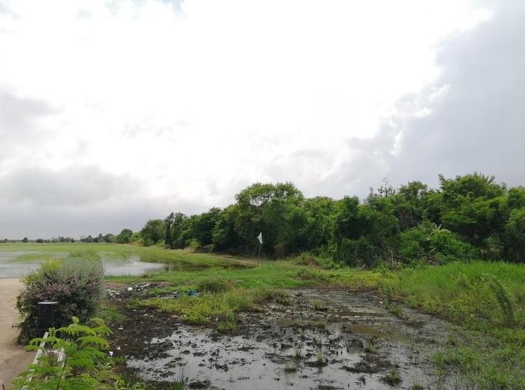 💟 ที่ดินเปล่า ศาลาแดง ฉะเชิงเทรา 💟 รูปที่ 3