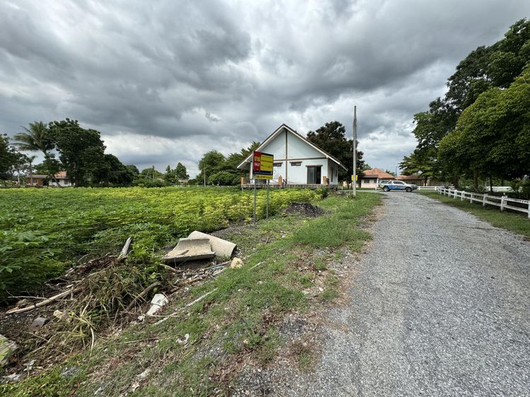 💟 ที่ดินเปล่า โครงการวังแก้วปาร์คฮิลล์ สระบุรี 💟 รูปที่ 4