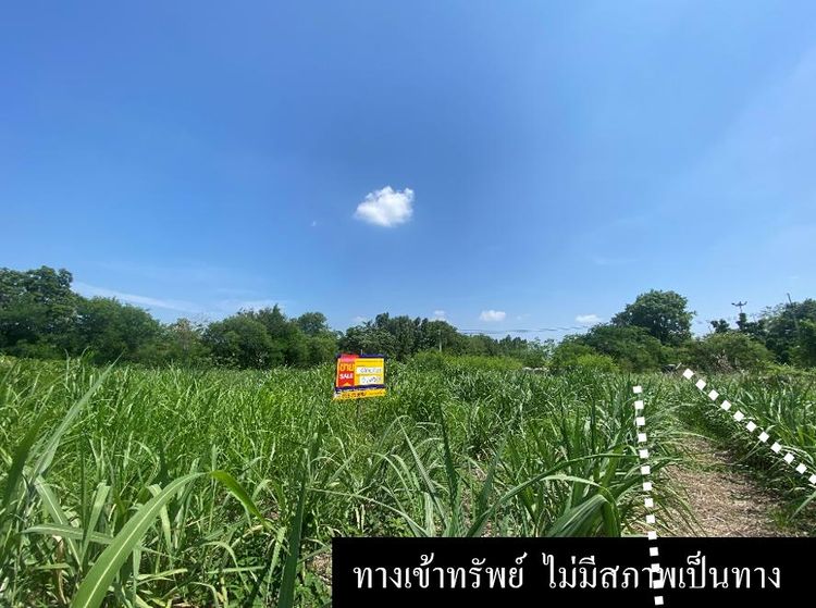 💟 ที่ดินเปล่า สระบุรี 💟