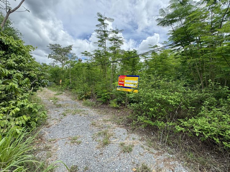 💟 ที่ดินเปล่า โครงการวังแก้วปาร์คฮิลล์ สระบุรี 💟 รูปที่ 4