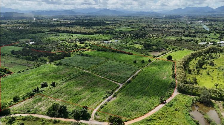 💟 ที่ดินเปล่า โครงการน้ำหมานซิตี้วิว ลำพูน 💟 รูปที่ 3