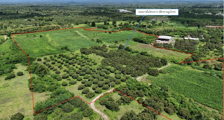 💟 ที่ดินเปล่า โครงการน้ำหมานซิตี้วิว ลำพูน 💟 รูปที่ 2