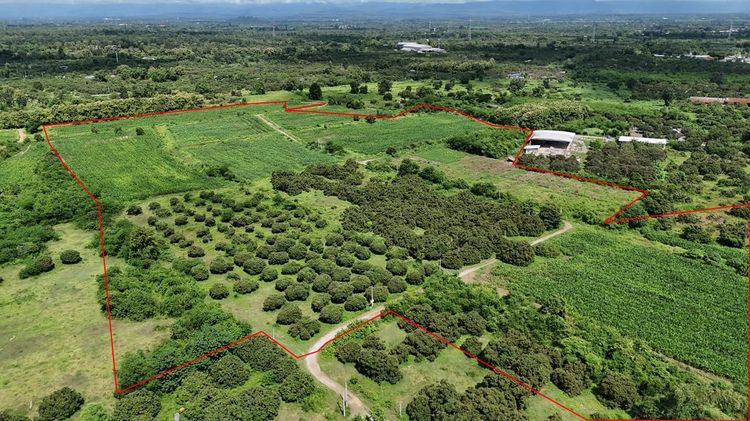 💟 ที่ตินเปล่า โครงการน้ำหมานซิตี้วิว ลำพูน 💟 รูปที่ 2