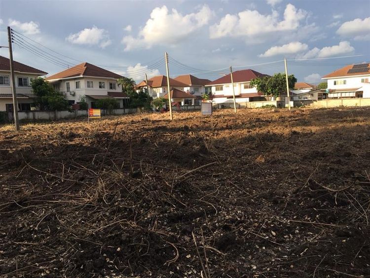 💟 ที่ดินเปล่า โครงการพฤกษาธานี 💟 รูปที่ 3