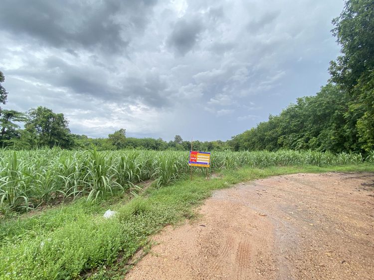 ð āļāļĩāđāļāļīāļāđāļāļĨāđāļē āļāļēāļŠāļĩāļāļ§āļ āđāļĄāļ·āļāļāļĄāļļāļāļāļēāļŦāļēāļĢ ð āļĢāļđāļāļāļĩāđ 2