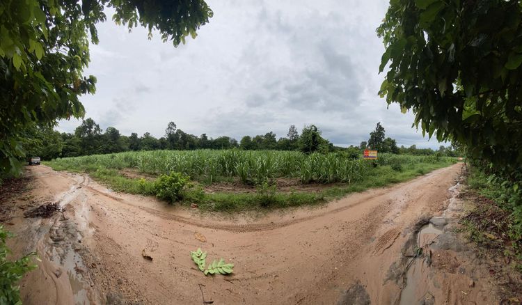 💟 ที่ดินเปล่า นาสีนวน เมืองมุกดาหาร 💟 รูปที่ 4