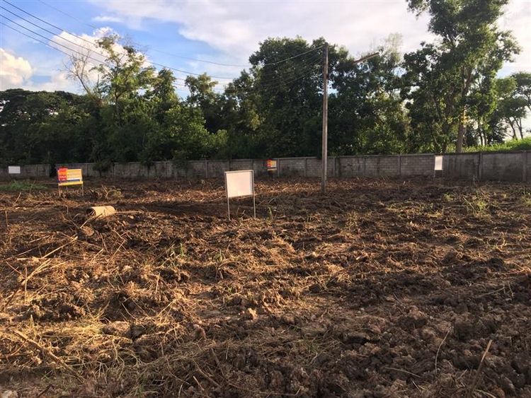 💟 ที่ดินเปล่า โครงการพฤกษาธานี 💟 รูปที่ 4