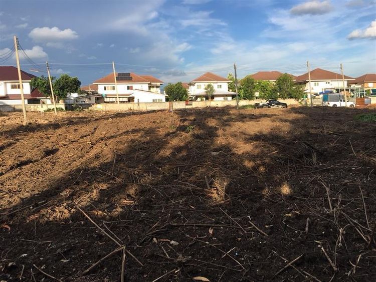 💟 ที่ดินเปล่า โครงการพฤกษาธานี 💟 รูปที่ 4