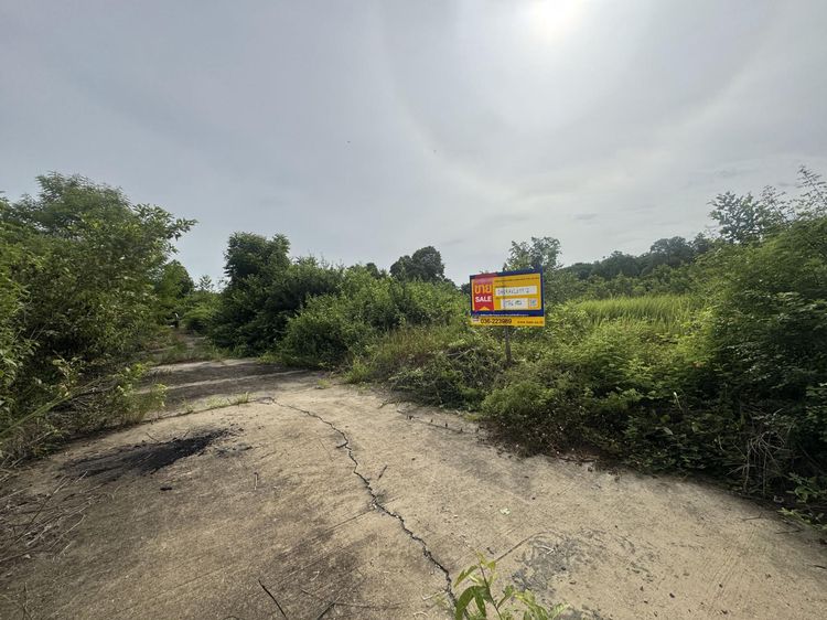 ð āļāļĩāđāļāļīāļāđāļāļĨāđāļē āđāļāļĢāļāļāļēāļĢāļāļīāļāļāļĢāļē 3 āļŠāļĢāļ°āļāļļāļĢāļĩ ð āļĢāļđāļāļāļĩāđ 3