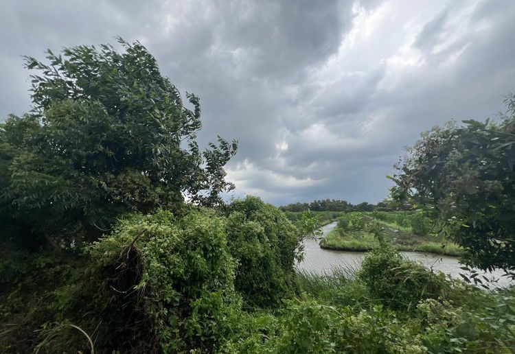 💟 ที่ดินเปล่า ซอยโครงการสวนเกษตรยิ่งโอฬาร 3 (กม.6) 💟 รูปที่ 4