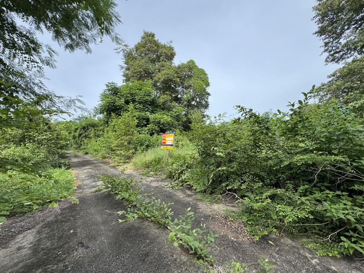 ð āļāļĩāđāļāļīāļāđāļāļĨāđāļē āđāļāļĢāļāļāļēāļĢāļāļīāļāļāļĢāļē 3 āļŠāļĢāļ°āļāļļāļĢāļĩ ð āļĢāļđāļāļāļĩāđ 3